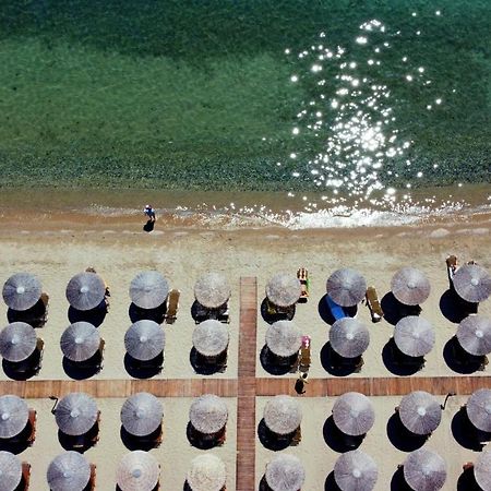 Beach Front Villa Nea Kallikrateia Εξωτερικό φωτογραφία